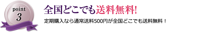 全国どこでも送料無料！